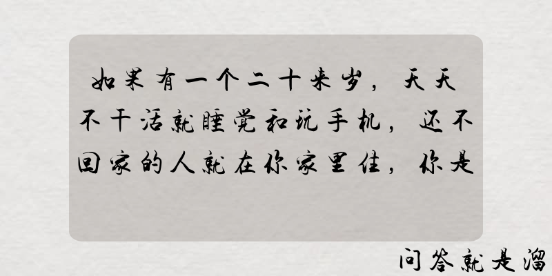 如果有一个二十来岁，天天不干活就睡觉和玩手机，还不回家的人就在你家里住，你是什么感觉？