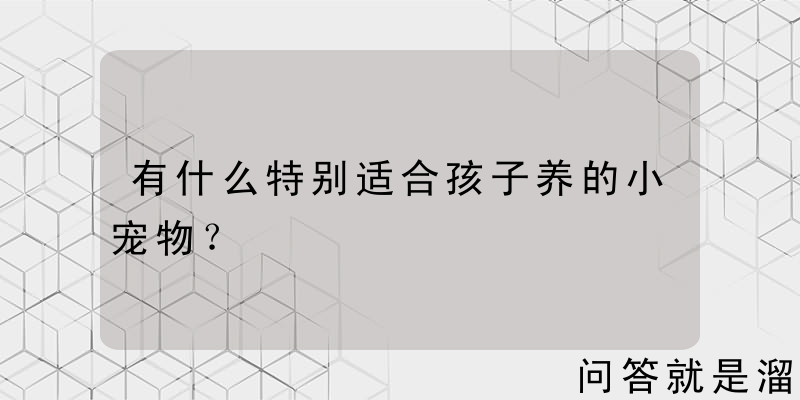 有什么特别适合孩子养的小宠物？