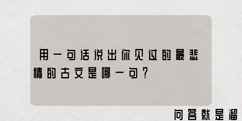 用一句话说出你见过的最悲情的古文是哪一句？